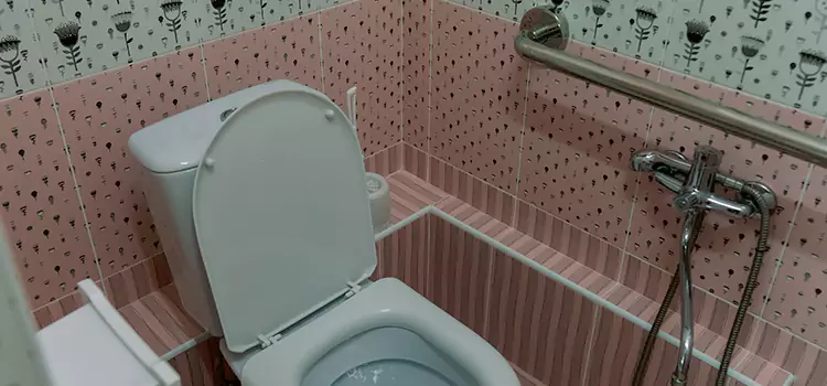 Meeting Diverse Needs With Accessible Restroom Solutions in Crystal Beach, ON
