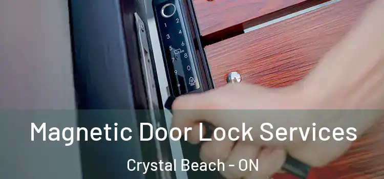 Magnetic Door Lock Services Crystal Beach - ON